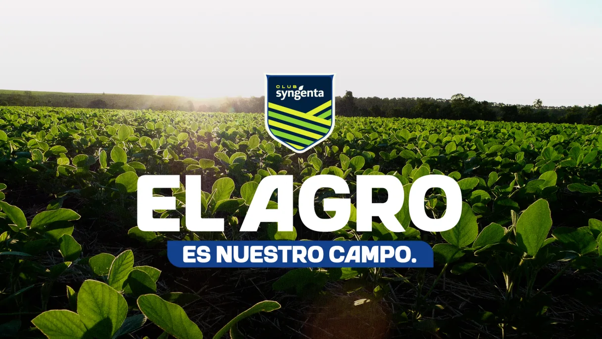 Club Syngenta — el agro es nuestro campo