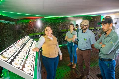 Demostración en una de las estaciona de la Academia Seedcare