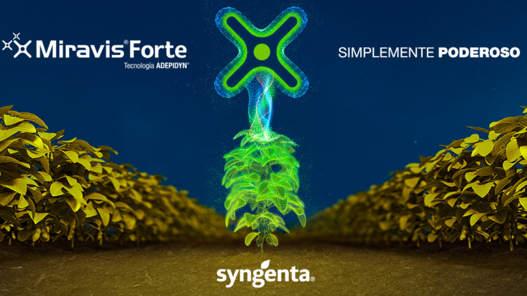 MIRAVIS ™ FORTE | Fungicida Syngenta | Control de enfermedades foliares