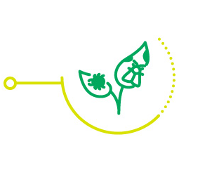 Infografia con impacto de mosca blanca en cultivo de soja. Conocé como Elestal®Neo puede ayudarte