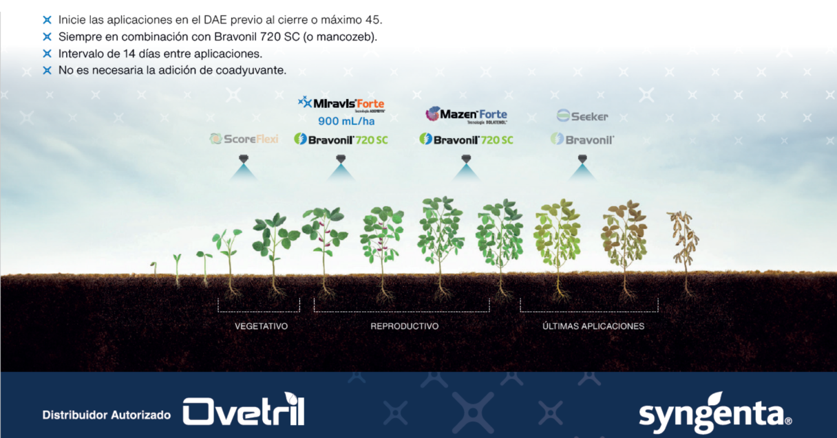 Posicionamiento Ovetril