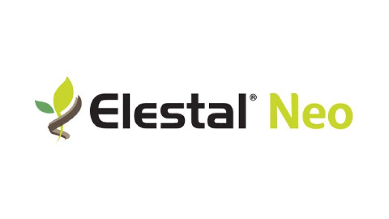 Elestal Neo