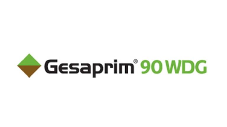 Gesa